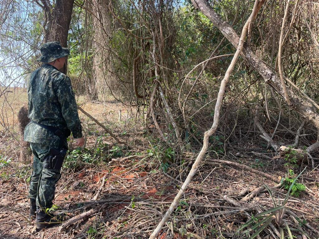 Sitiante de Ocauçu é multado em R$ 24 mil por danos em vegetação