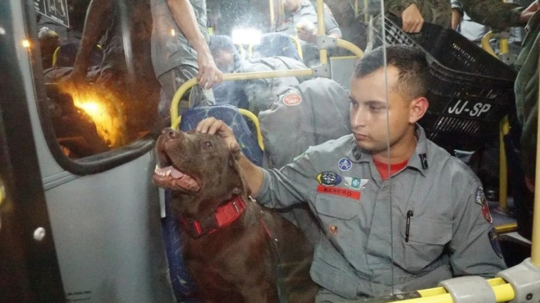 Bombeiros, médicos e cães farejadores de SP embarcam para a Turquia