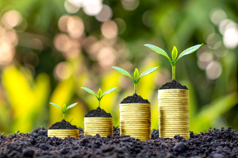 Setor agrícola recebeu R$ 152 bilhões do Sistema Nacional de Fomento