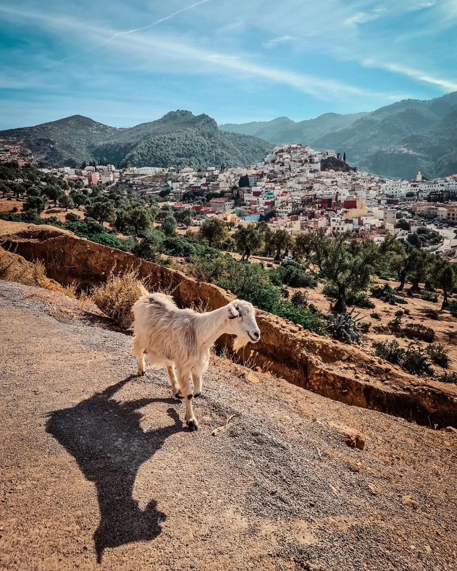 Cabrinha posa com as casinhas coloridas da cidade de Moulay Driss Zerhoun, ao norte do Marrocos, ao fundo. Foto: Reprodução/Instagram 04.08.2023