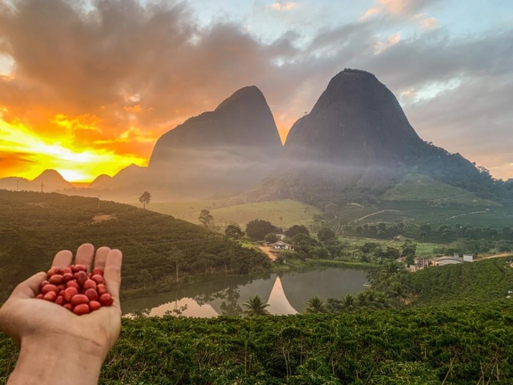 VBP do EspÃrito Santo atingiu R$ 16,4 bilhões em 2023 VBP do EspÃrito Santo atingiu R$ 16,4 bilhões em 2023