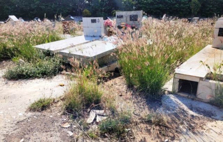 Cemitério da Saudade em Marília acumula mato alto e sinais de abandono