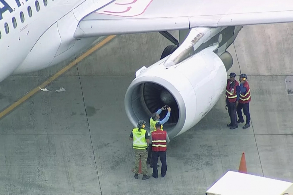 Avião da Latam volta a aeroporto após choque com ave