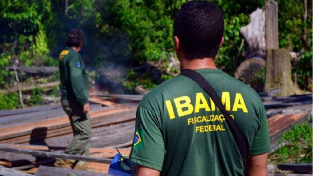 Concurso do Ibama e ICMBio: governo autoriza nomeação de 568 aprovados Concurso do Ibama e ICMBio: governo autoriza nomeação de 568 aprovados