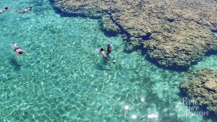 O Parque Marinho de Recife de Fora possui ainda diversas piscinas naturais. Foto: Porto Seguro Passeios