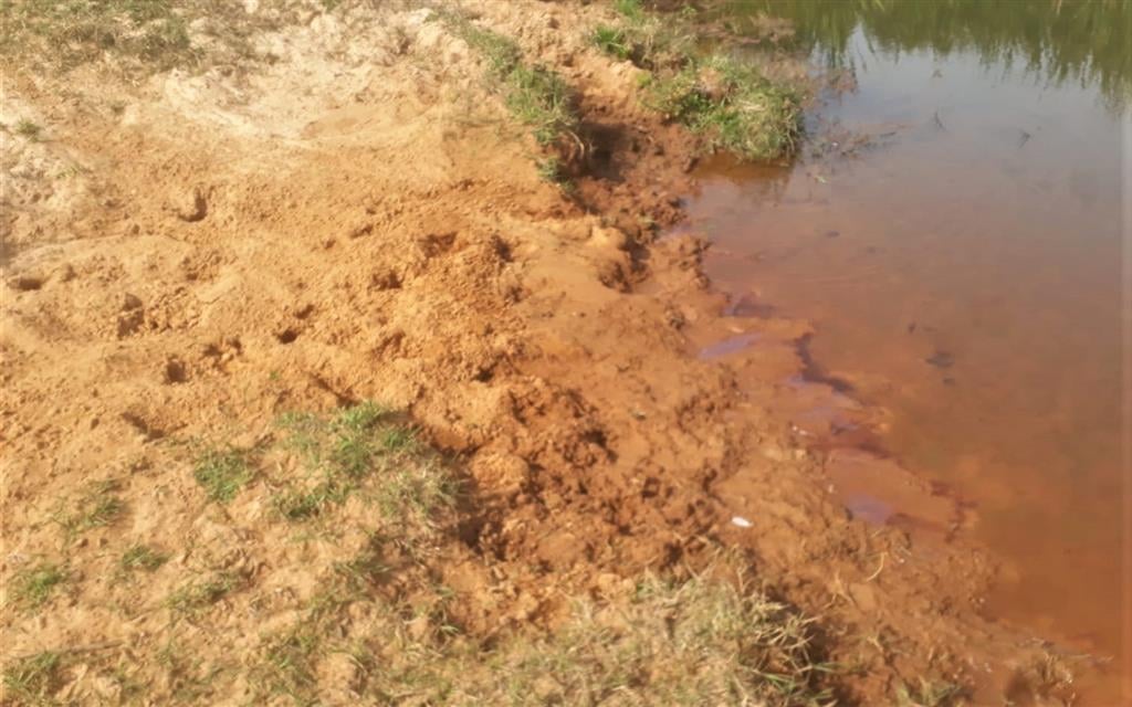 Fazenda de Rosália leva R$ 6000 em multa por gado em área de preservação