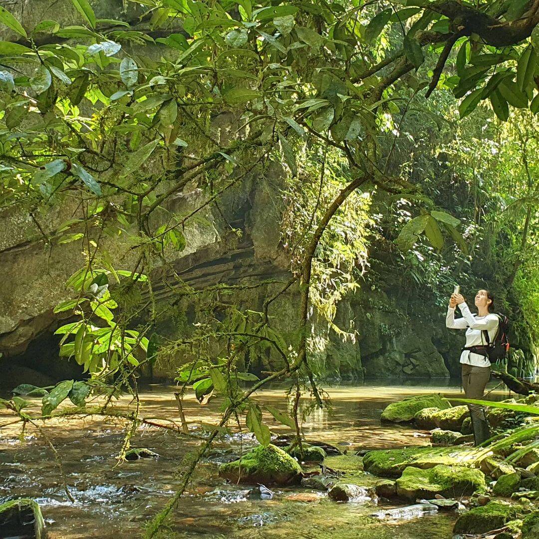 PETAR - Parque Estadual Turístico do Alto Ribeira. Foto: Instagram/@entreparquesbr