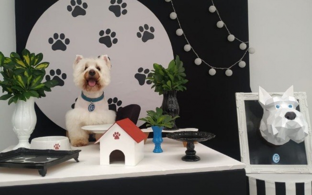 IGuinho ganha festa nos 20 anos do IG IGuinho ganha festa nos 20 anos do IG