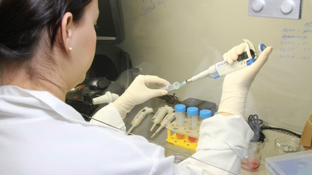 USP identifica medicamentos que podem inibir a replicação do coronavírus