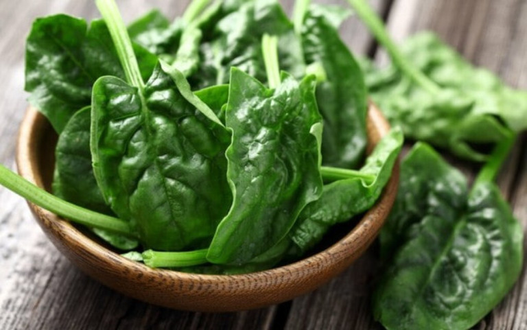 5 alimentos que ajudam a manter o bom funcionamento do organismo