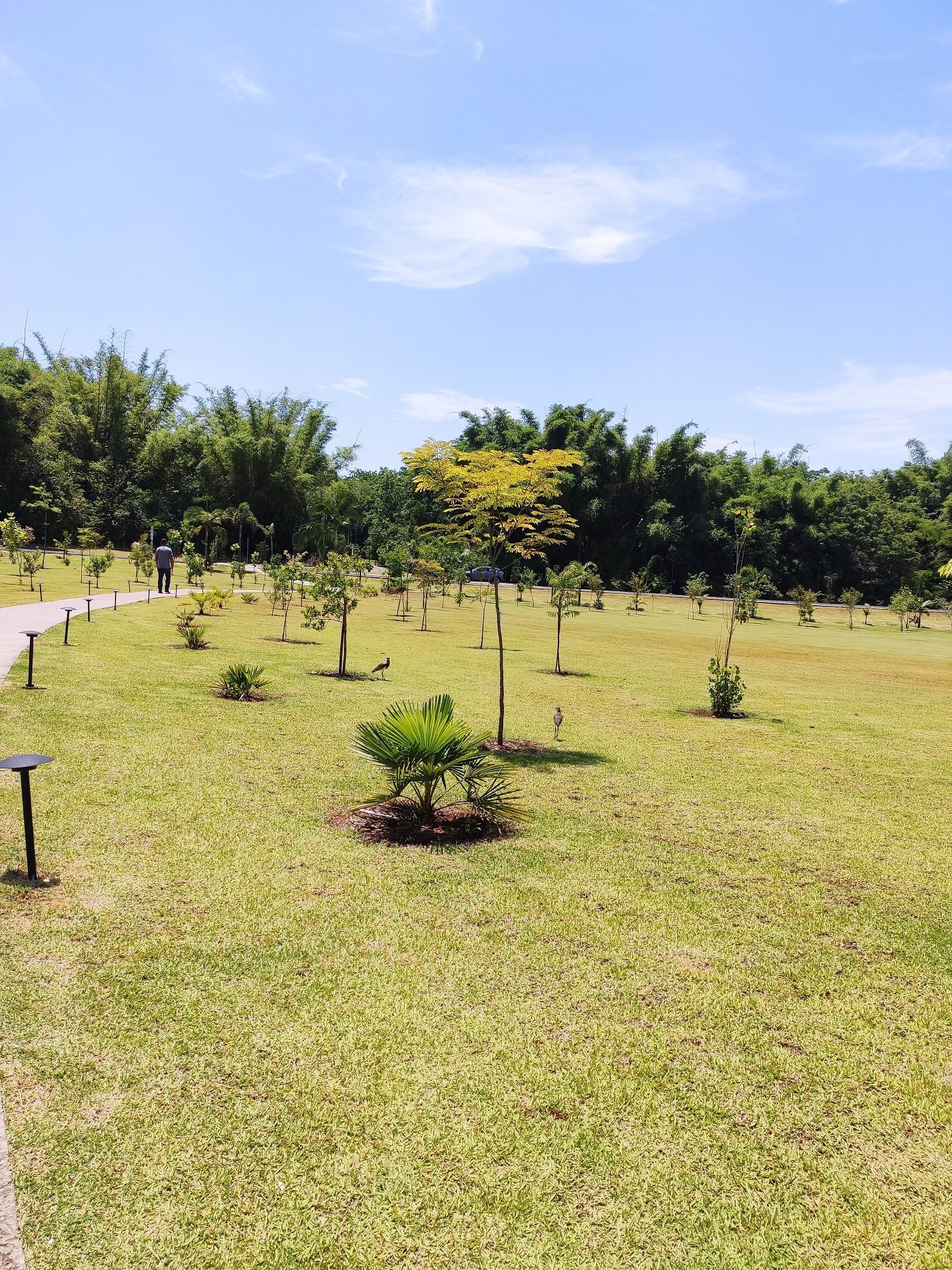 Jardins de Jurema. Foto: Renan Tafarel/Portal iG - 09/11/2022