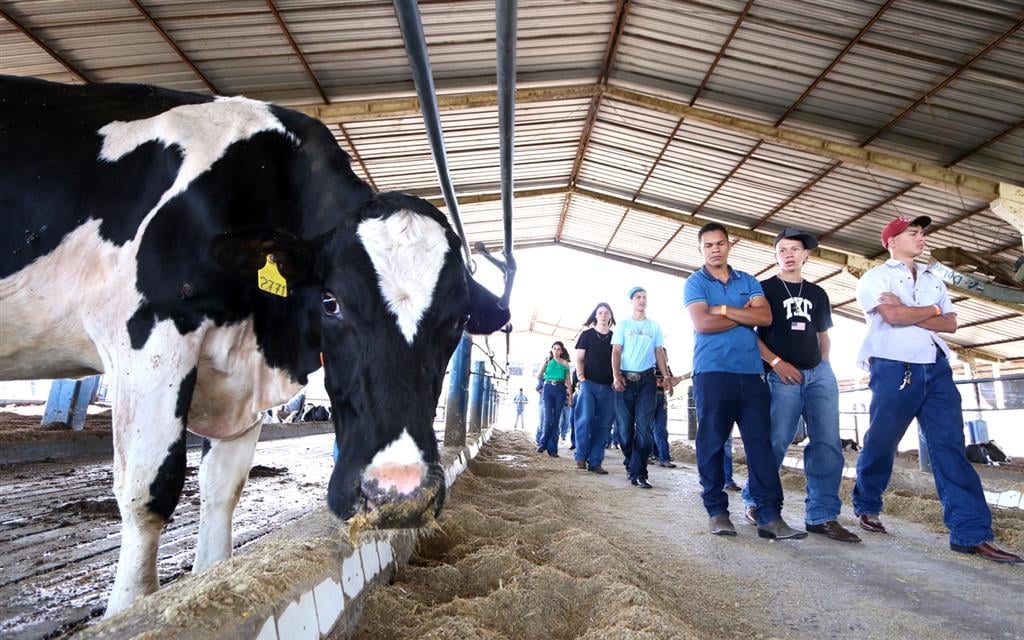 Dia de Campo apresenta Ciências Agrárias da Unimar a alunos de escolas agrícolas