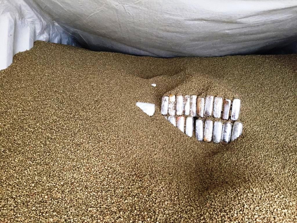 Receita flagra 364 kg de cocaína em carga de café para exportação em SP