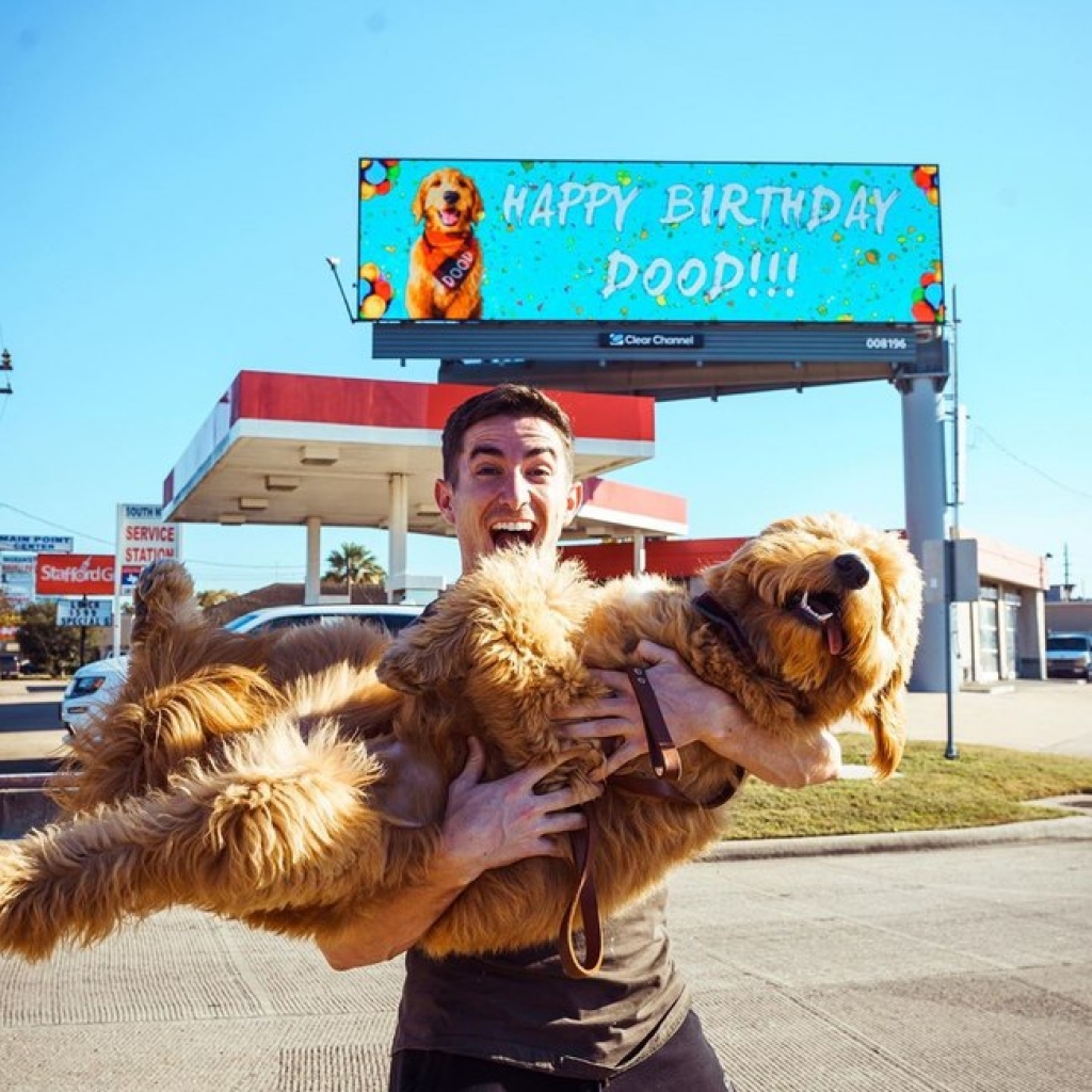 Homem aluga outdoor para comemorar aniversário de seu cão
