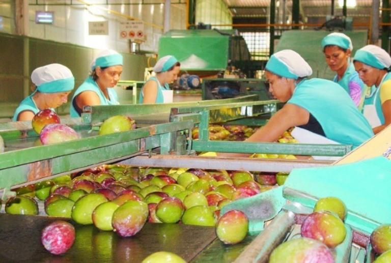 Brasil exportou R$ 6 bilhões em frutas em 2023