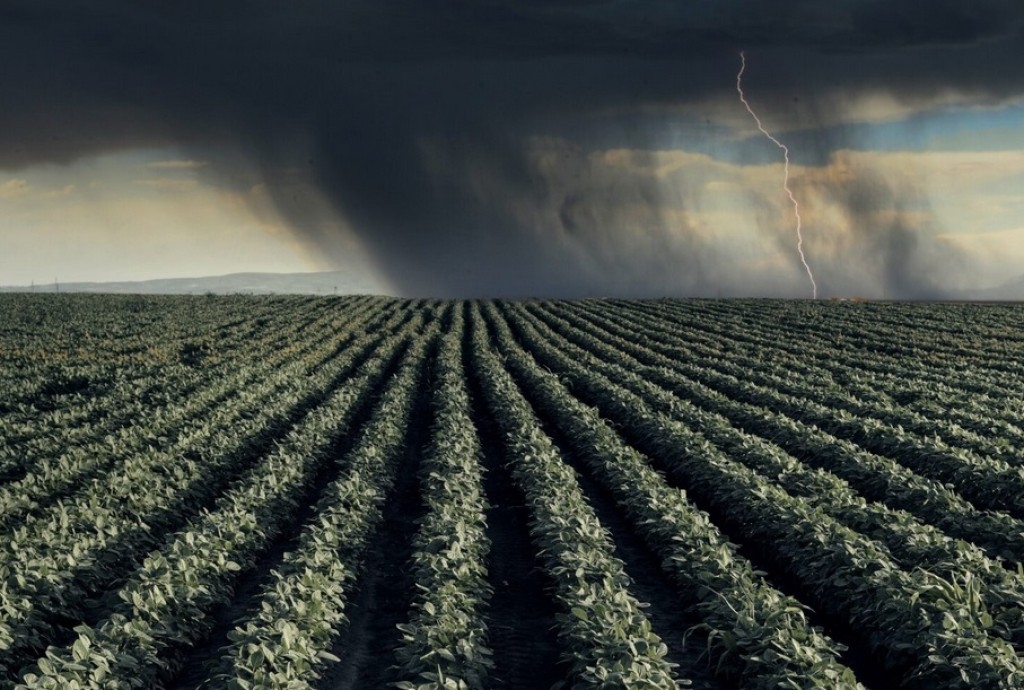 Colheita da soja chega a 23%, mas clima pode atrapalhar. Veja aqui como fica o tempo em cada região esta semana Colheita da soja chega a 23%, mas clima pode atrapalhar. Veja aqui como fica o tempo em cada região esta semana