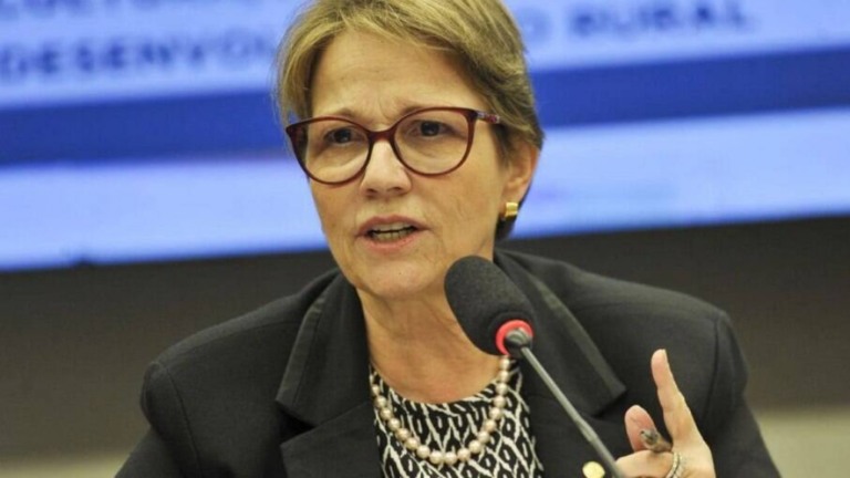 Tereza Cristina nega desabastecimento de trigo e fertilizantes
