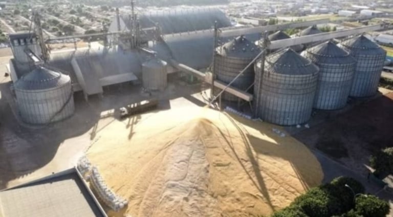 Falta de infraestrutura da armazenamento traz sérios prejuízos aos produtores, alerta presidente do IA