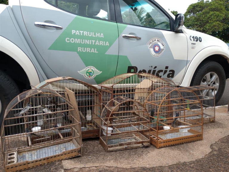 Criador da região leva multa de R$ 13 mil por 26 pássaros em cativeiro