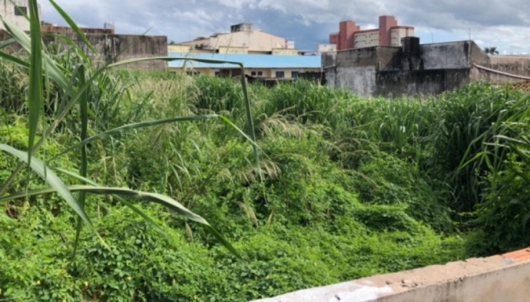 Edital emergencial notifica donos de lotes para capinação em Marília