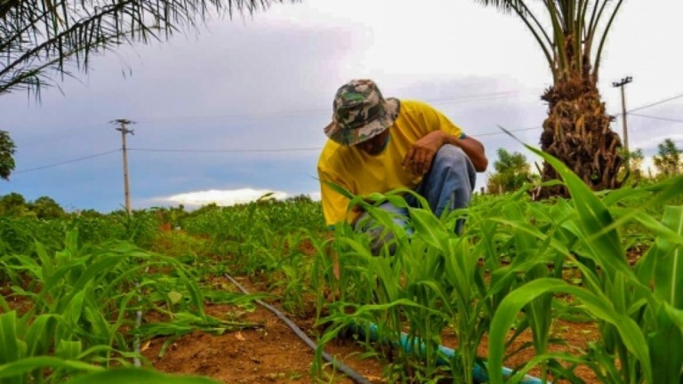 Cooperativas e agricultores familiares de Minas Gerais receberam R$ 36,4 milhões