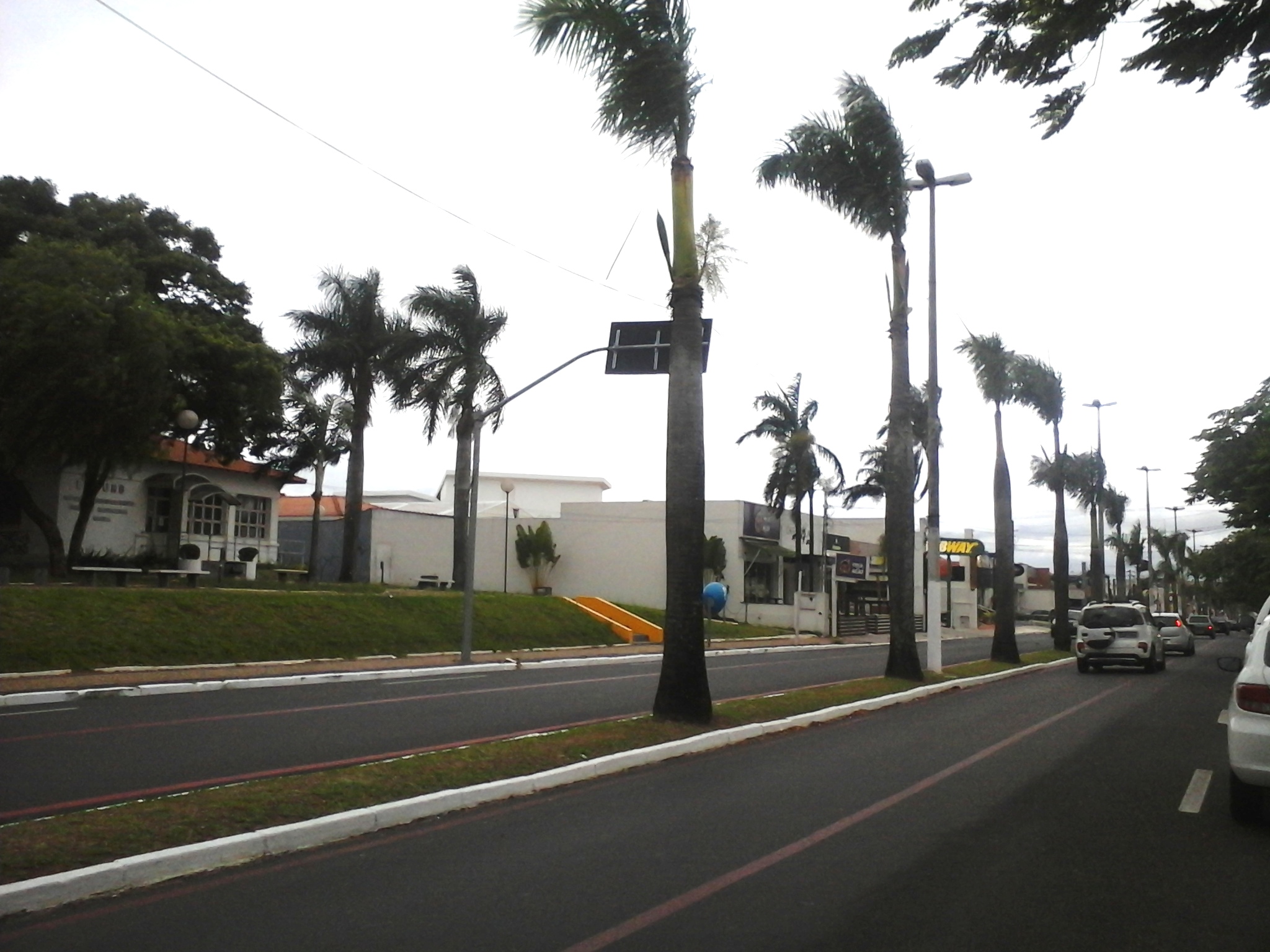 "Domingo de Lazer" substitui ciclofaixa e fecha uma pista de avenida