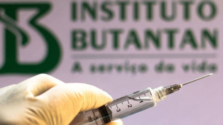 Vacina contra a dengue produzida pelo Butantan tem eficácia de 79,6%