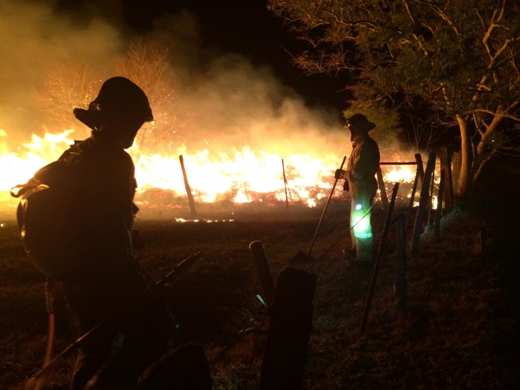 Queimada atinge área de preservação na zona leste; cidade acumula perdas