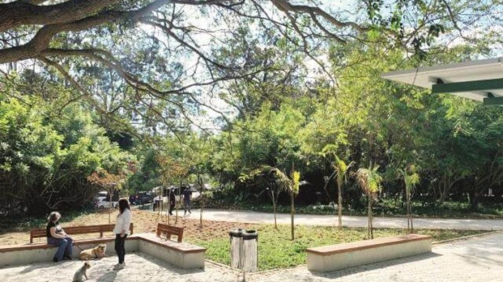 SP: Parque Alto da Boa Vista ganhará mirante, trilha e 'cachorródromo'