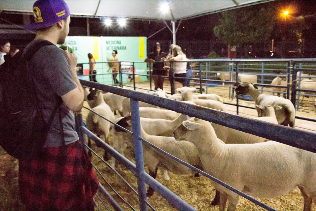 Veterinária e Agronomia da Unimar reúnem atrações na 30ª Secam