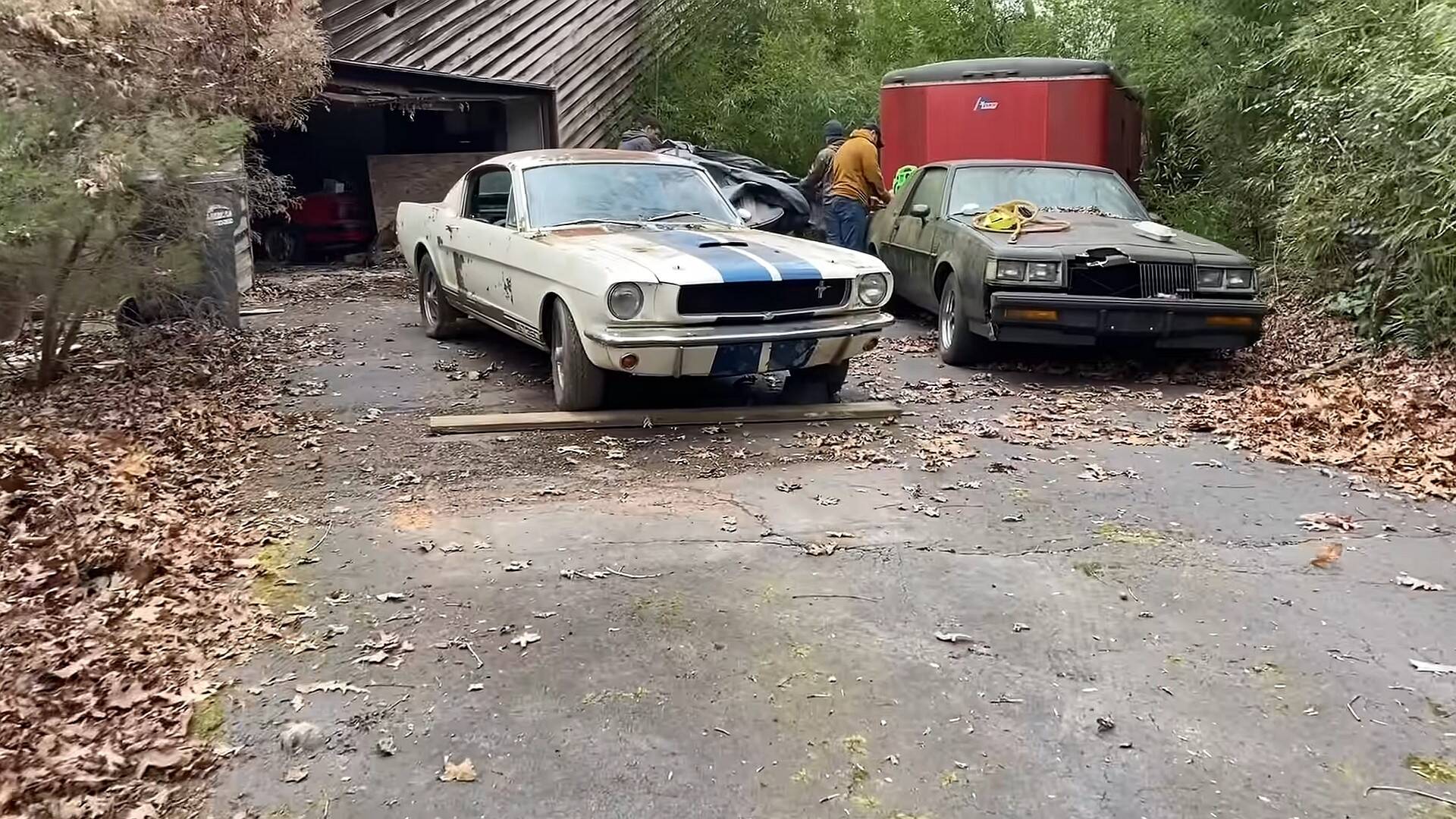 Mustang Shelby GT350 1965 . Foto: Reprodução