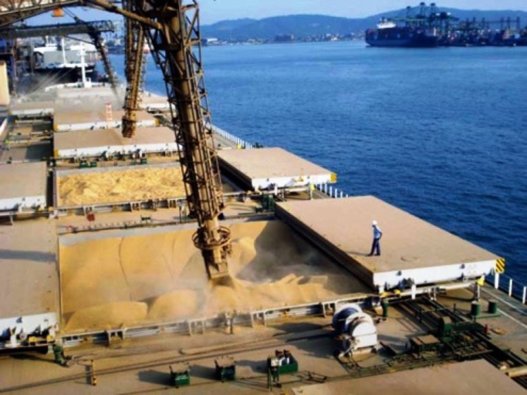 Importações da soja brasileira pela China cresceram 71% em outubro