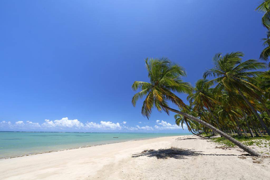 Praia do Patacho. Foto: Reprodução