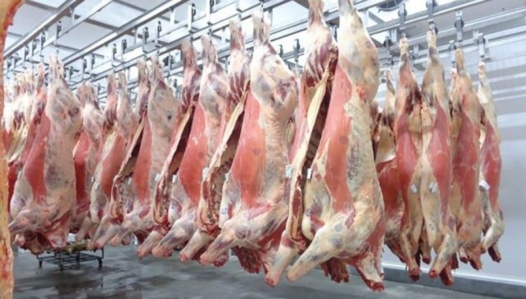 Mato Grosso bate recorde no abate de bovinos: 615 mil cabeças Mato Grosso bate recorde no abate de bovinos: 615 mil cabeças