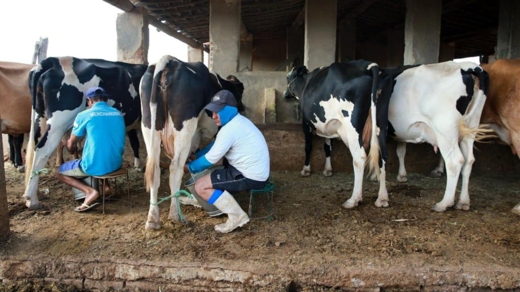 Conselho Monetário Nacional aprova linha de crédito de R$ 700 milhões para produtores de leite