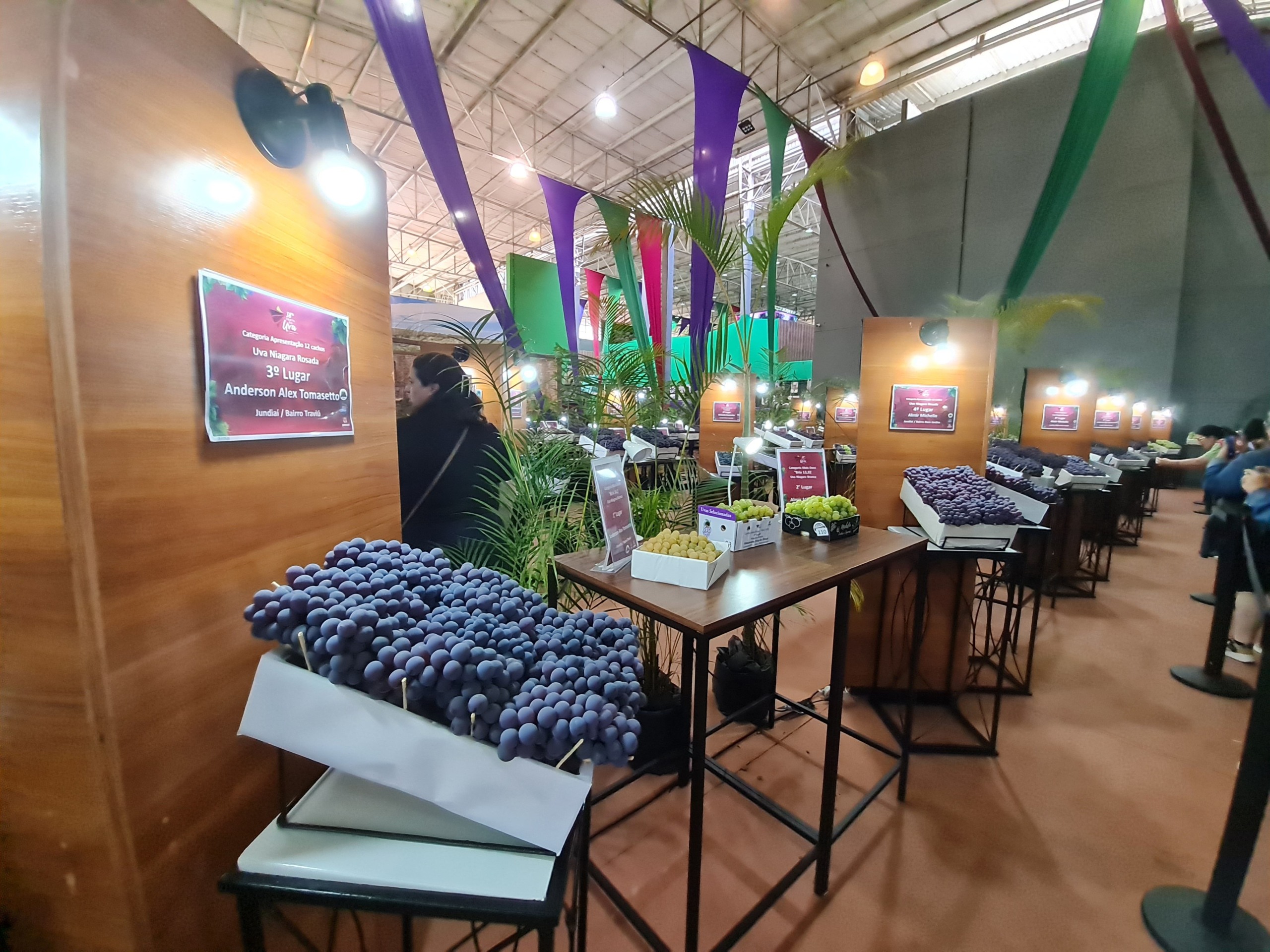 Exposição das uvas premiadas. Foto: Isabela Frasinelli/iG