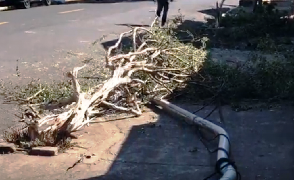 Caminhão derruba poste e complica trânsito no centro; veja vídeo