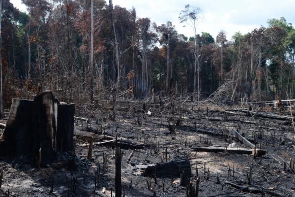 Emissão de gases do efeito estufa cresce 7,8% no país