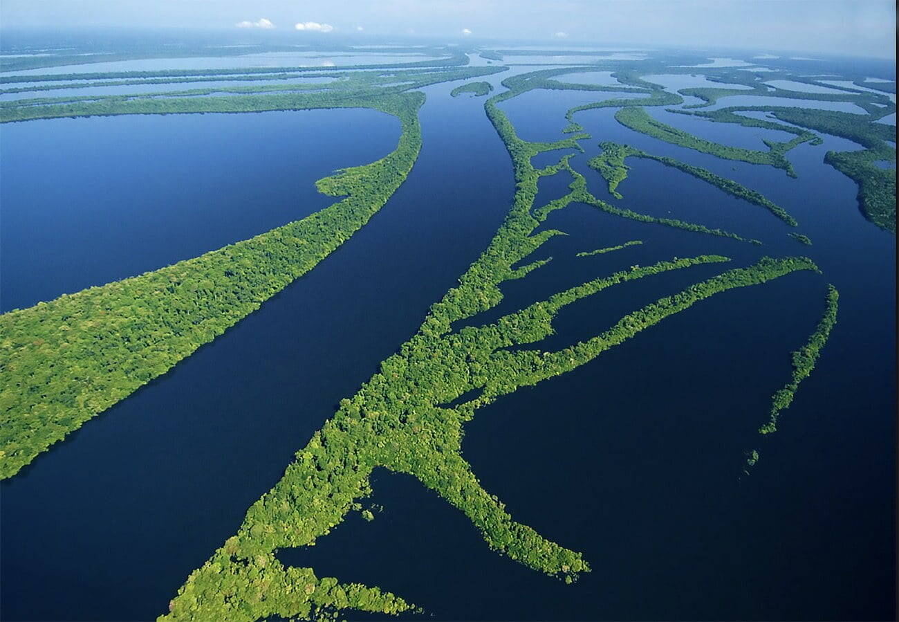 Arquipélago de Anavilhanas. Foto: Reprodução