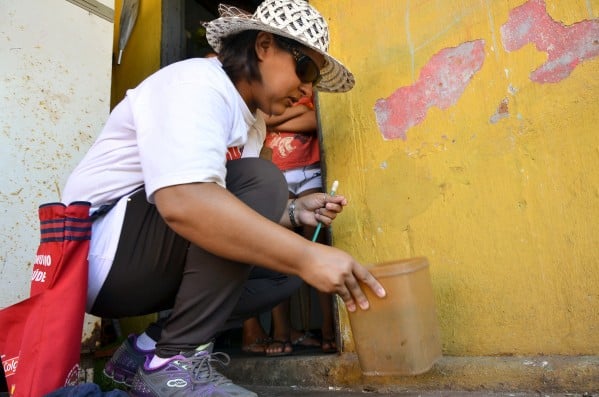 Agente vistoria casa em busca de focos de mosquito