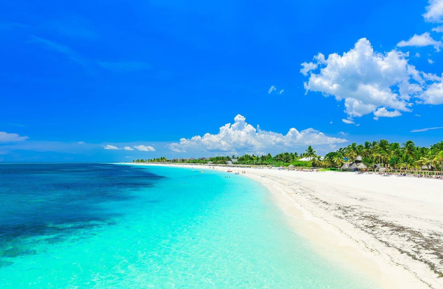 A vegetação de Santa Maria Beach adicionam ainda mais frescor e deslumbre ao local. Foto: Segue Viagem