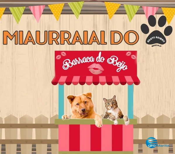 ONG faz quermesse e brechó para proteger animais