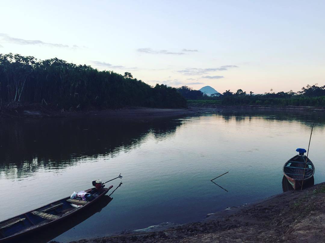 Barcos à beira do rio na floresta amazônica. Foto: Pixabay