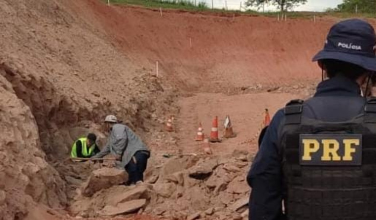 Equipe de Marília remove fóssil encontrado em obras da BR-153