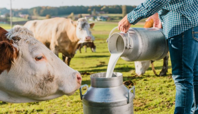 Brasil abre mercado para o agronegócio com a Índia