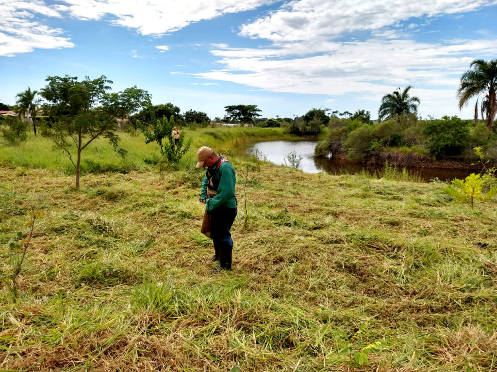 Yara Park tira do papel projeto de bosque com lago na zona leste