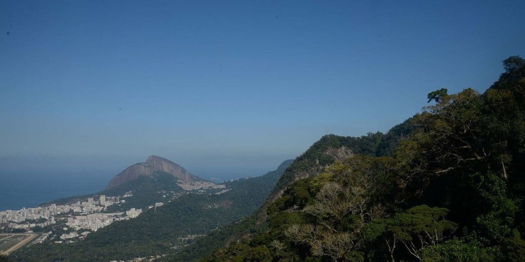 © Fernando Frazão/Agência © Fernando Frazão/Agência