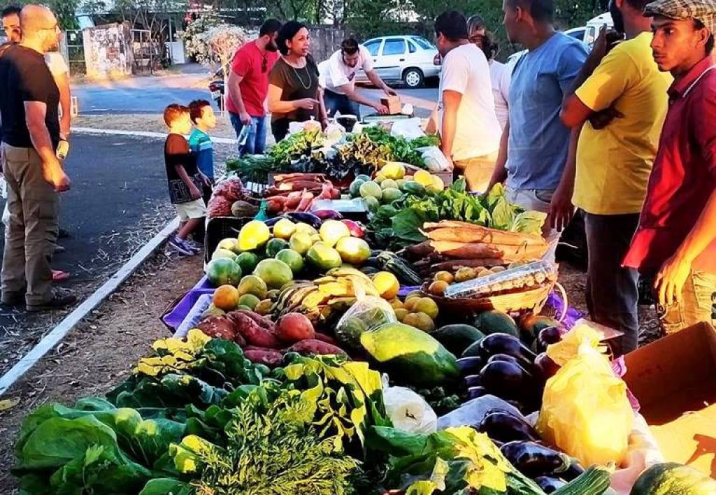 Produção de orgânicos cresce, mas Ministério defende uso do glifosato