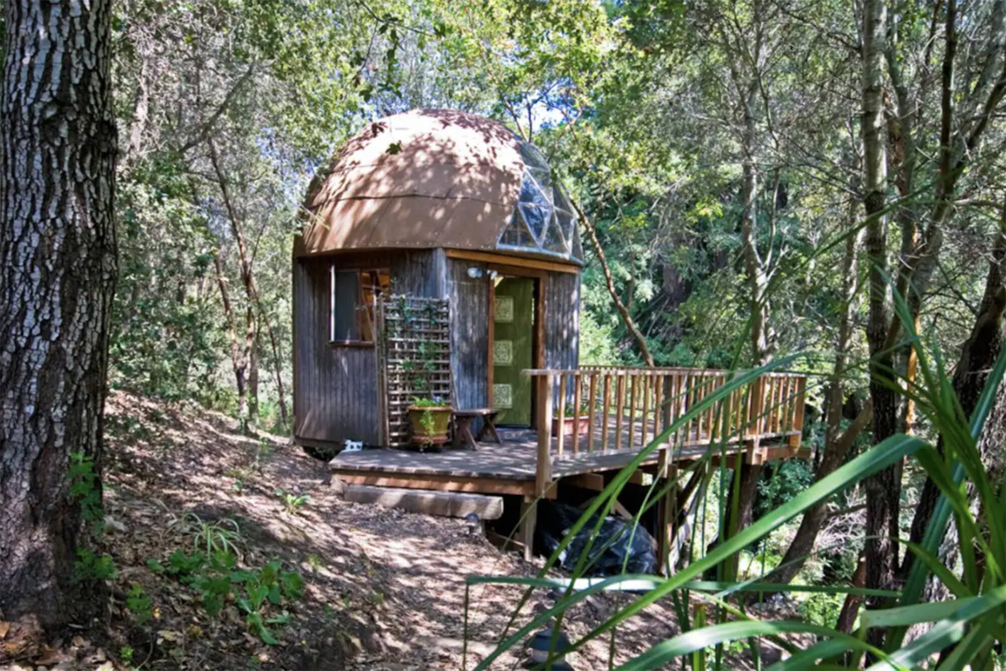 The Mushroom Dome, Aptos, Califórnia. Foto: Reprodução/Airbnb