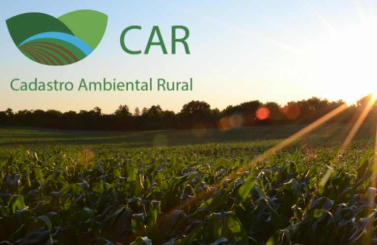 Cadastro Ambiental Rural: Mato Grosso tem 136 mil para reavaliação, 10 vezes mais que a média nacional